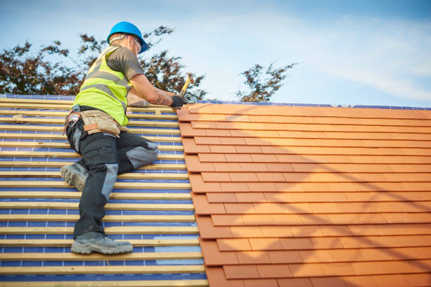 Best Roof Coating and Sealing  in Beardstown, IL